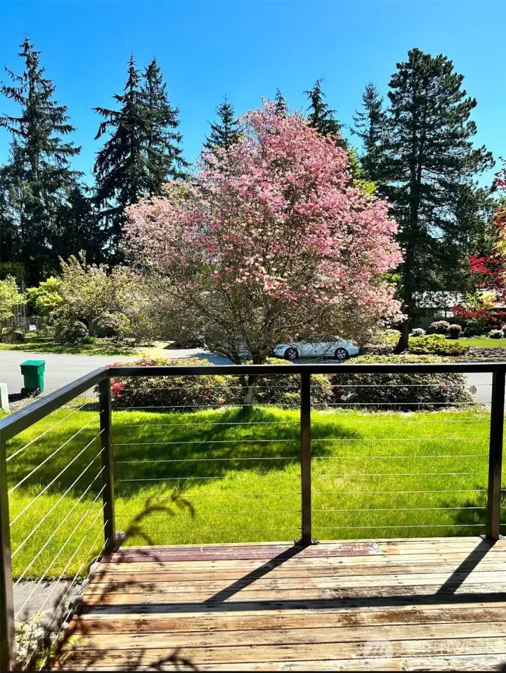 Just imagine Spring and Summer!