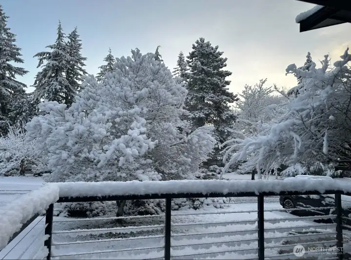 Gorgeous even on snow days