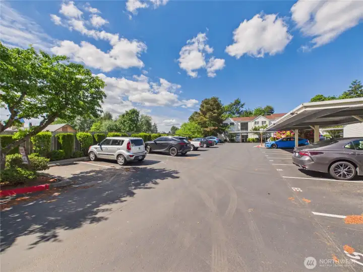Plenty of parking for guests