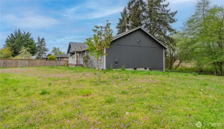 Side / Front Yard