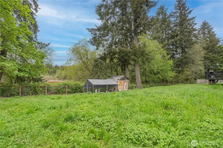 Back Yard / Chicken Coop