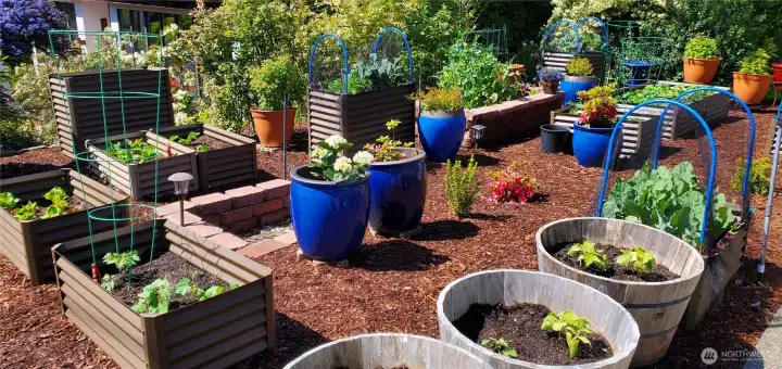 Gardener's delight  OR create grassy yard for play!