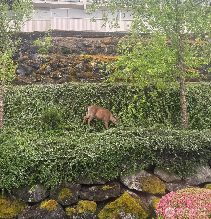 Nature prevails right outside your backdoor Nature prevails right outside your backdoor
