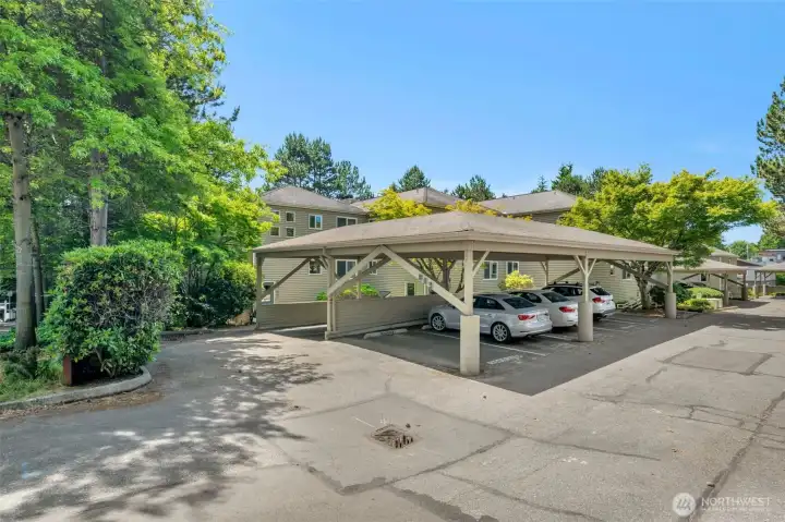 1 carport space. uncovered parking for guests. tons of street parking. 1 carport space. uncovered parking for guests. tons of street parking.