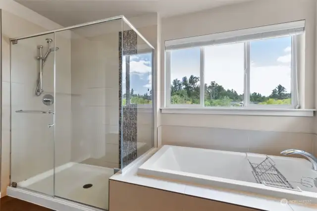 Soaking Tub and Shower