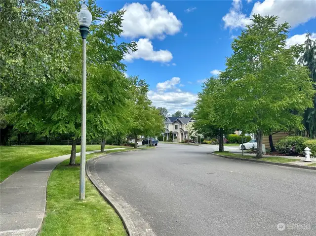 Picture Perfect Neighborhood with sidewalks, streetlamps, and pathways to enjoy nature...