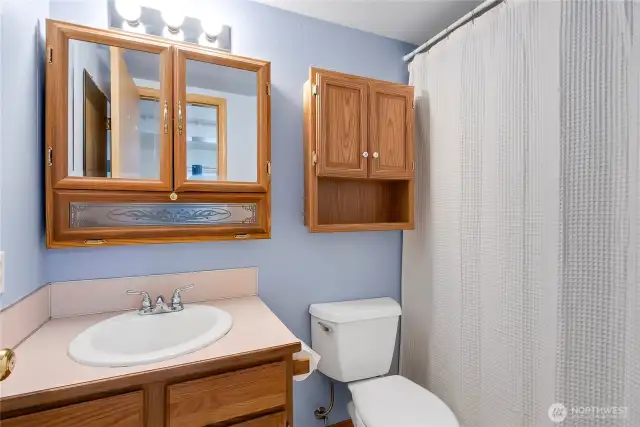 Downstairs full bath.