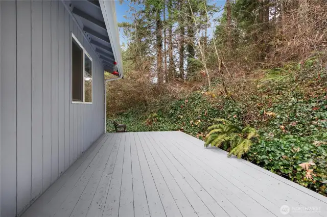 Rear deck with plenty of room to lounge and BBQ.