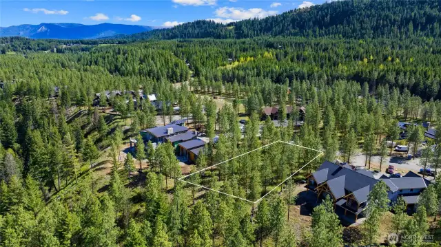 Aerial view of site and neighborhood