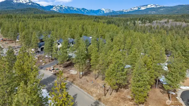 Aerial view of site and neighborhood