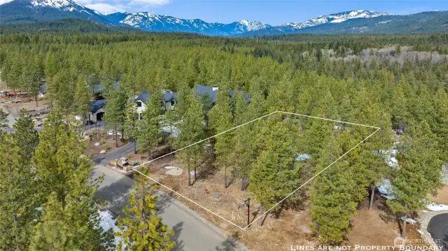 Aerial view of site and neighborhood