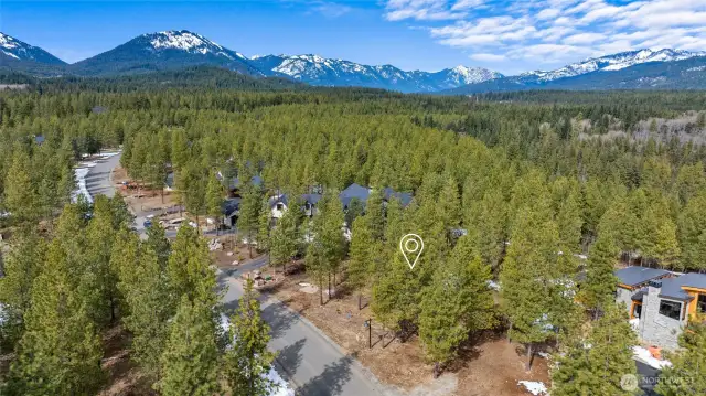 Aerial view of site and neighborhood