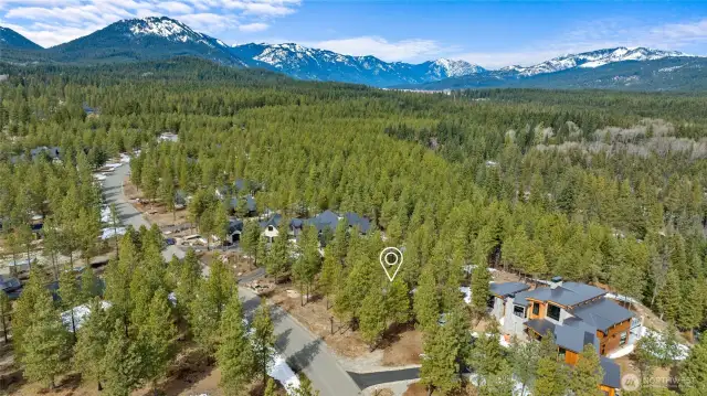 Aerial view of site and neighborhood