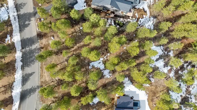 Aerial view of site. Neighbors already built!