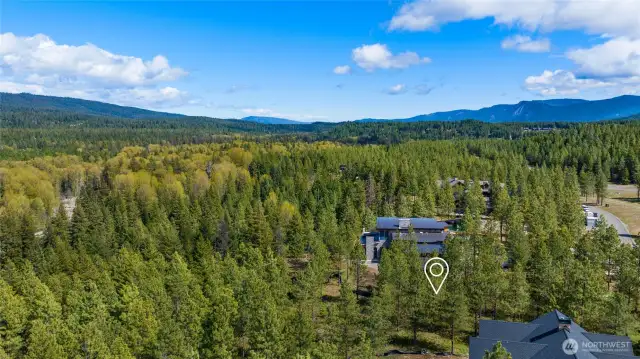 Aerial view of site and neighborhood