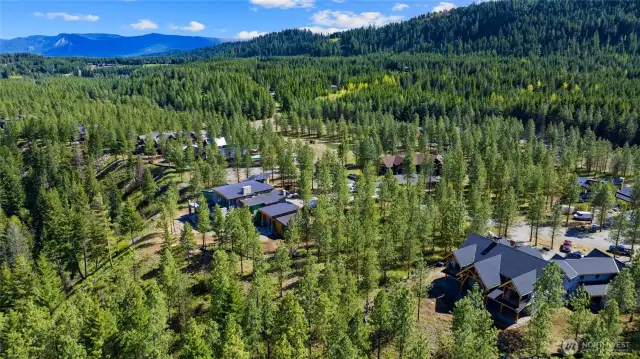 Aerial view of site and neighborhood