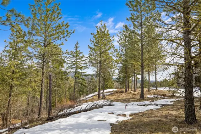 Views overlooking Cle Elum River corridor