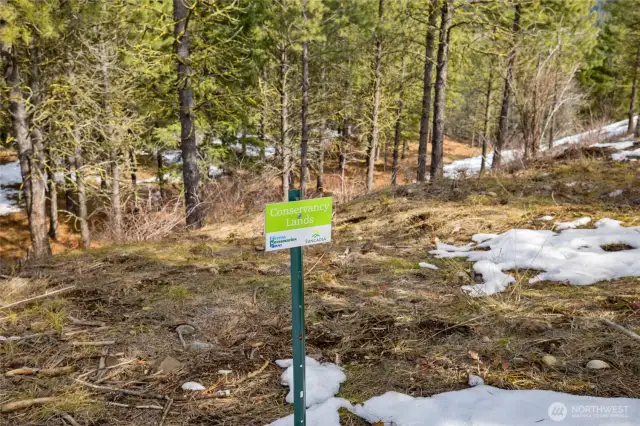 Open Space behind property