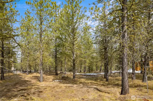 Front view of homesite