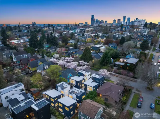 Soar above with this aerial shot, capturing Seattle's vibrant life and scenery as your stunning backdrop.