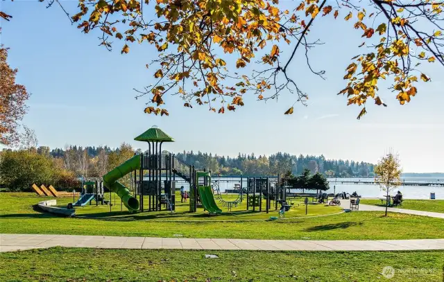 Lots of amenities at the park