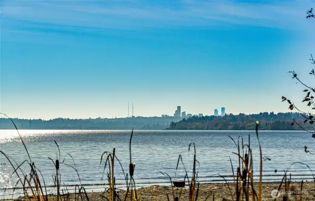 Seattle Skyline View