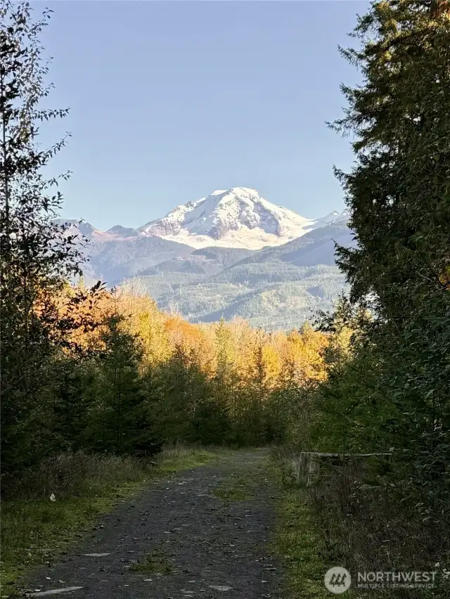 Views of Mt Baker from Canyon Creek Trail