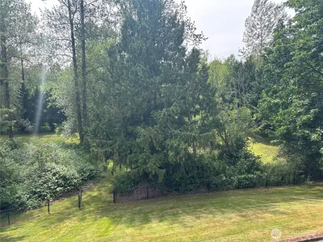 Back Acreage