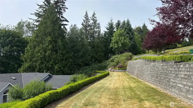 Front Yard 2