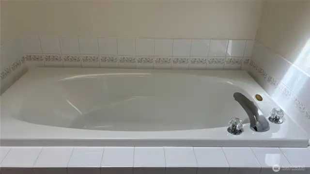 Main Level Master Bath
