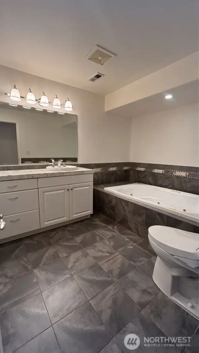 Lower Level Guest Bath