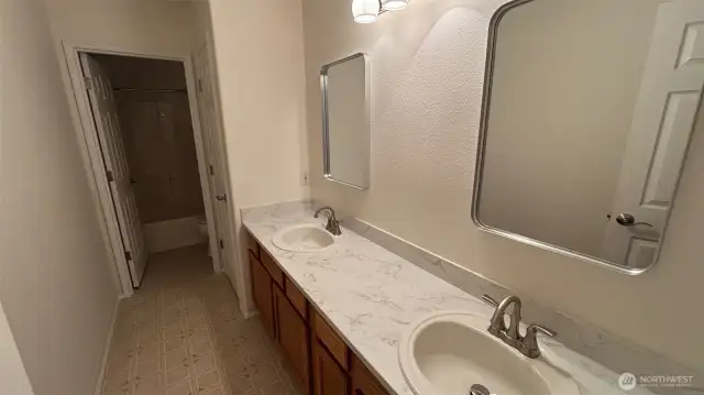 Lower Level Guest Bathroom