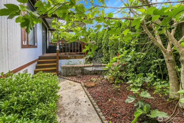 Deck leads to the Backyard!