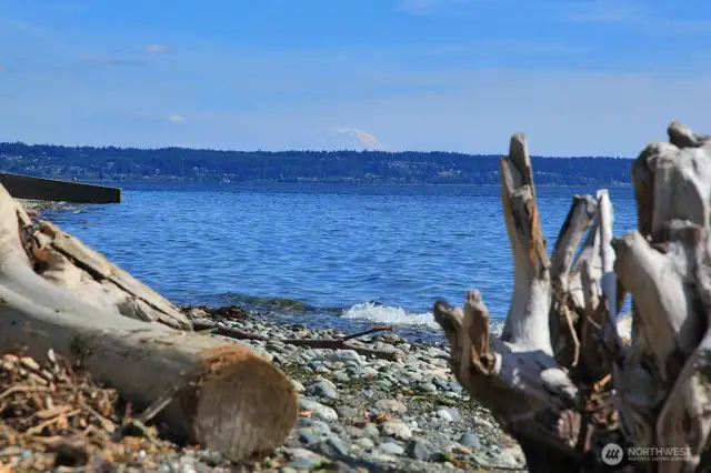 On a clear day you will see Mt. Rainier, also known as Mt. Tahoma.