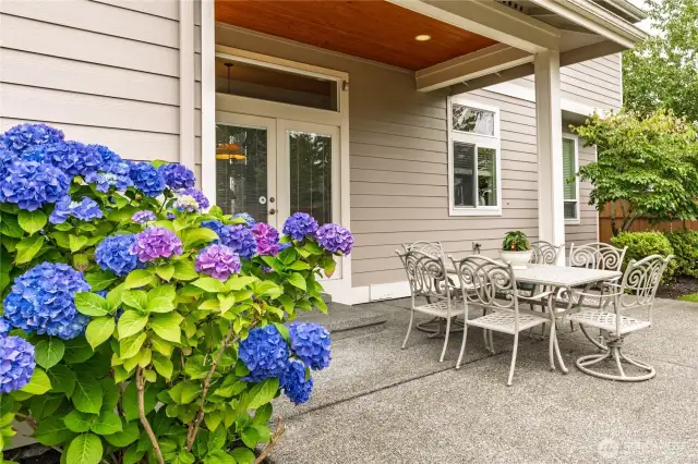 Covered patio off the kitchen - and stunningly gorgeous hydrangeas!