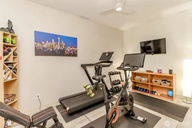 Bonus room currently used as a home gym. Could be a craft room or even a wine cellar