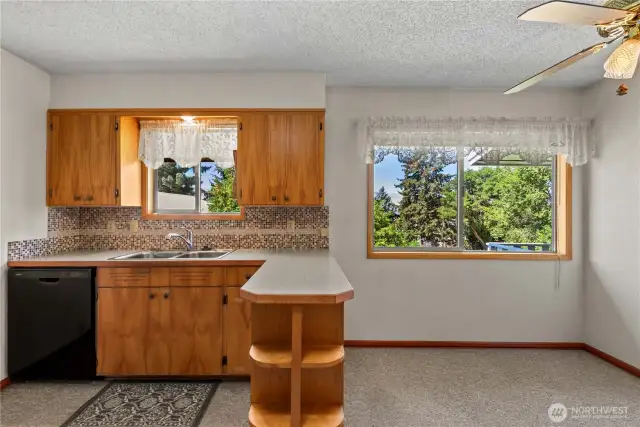 New dishwasher and garbage disposal.