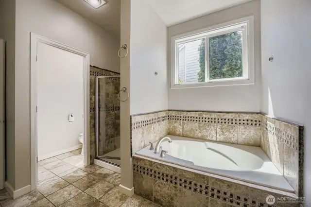 Main floor primary bathroom--spa like bathroom with walk in closet