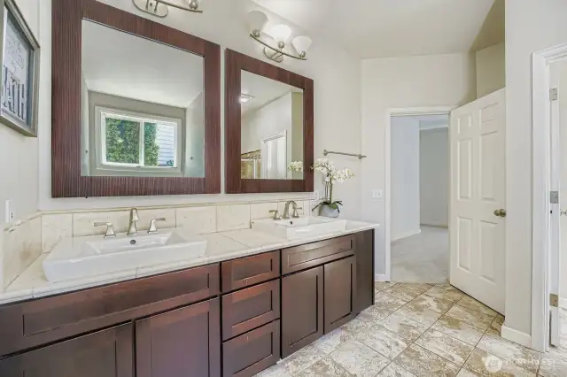 Main floor primary bathroom--spa like bathroom with walk in closet