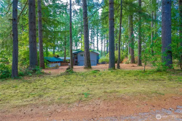 House set off the road, screened by stand of firs. 0ne plus acre flat lot...gorgeous property!