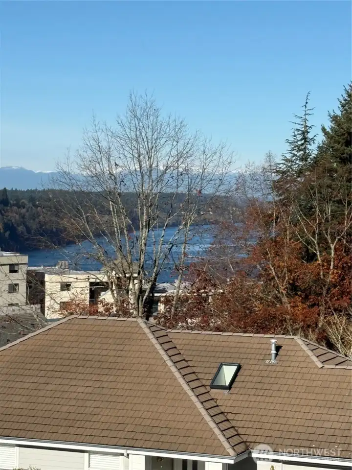 Puget Sound, mountain view