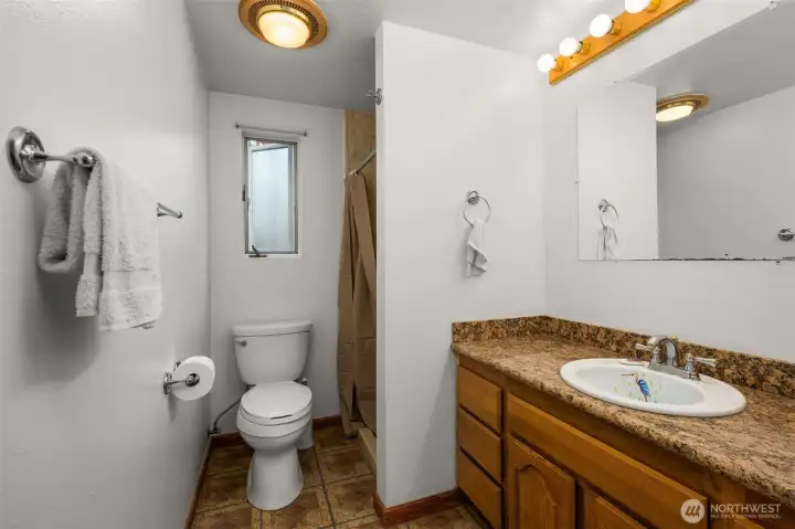 Lower Level Bathroom