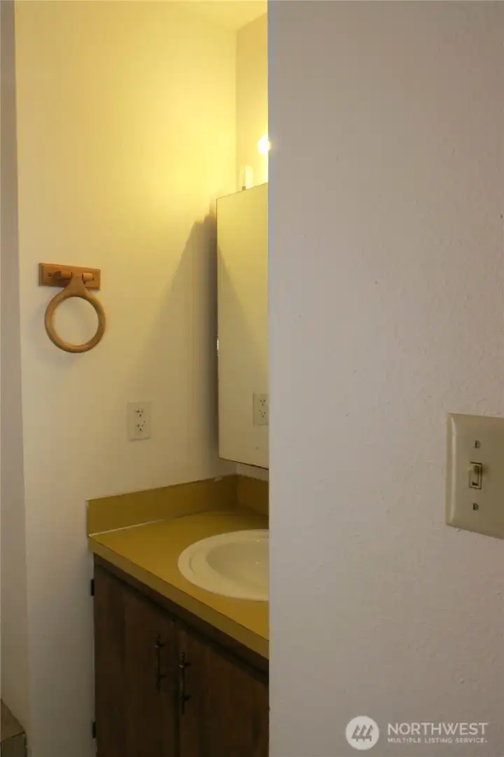 THE VANITY HAS PLENTY OF STORAGE FOR CLEANING ITEMS PLUS A SINGLE SINK AND MIRRORED STORAGE AREA!