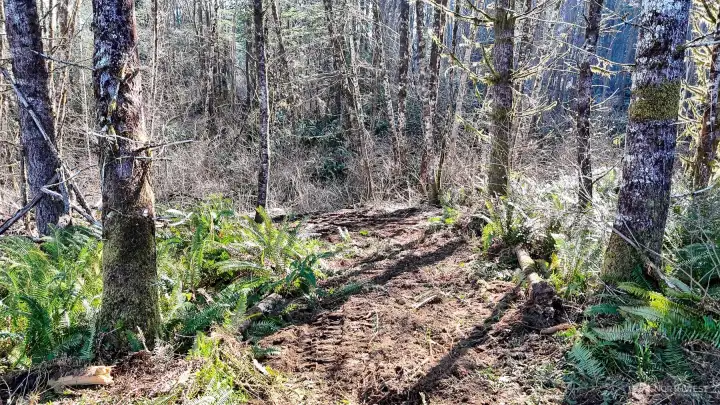 Short stroll from your own deck to the edge of your very own Creek