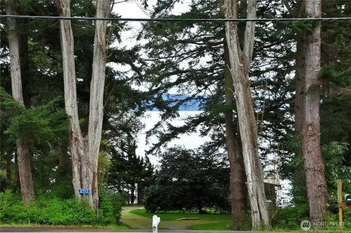 a partial view of the water through the trees.