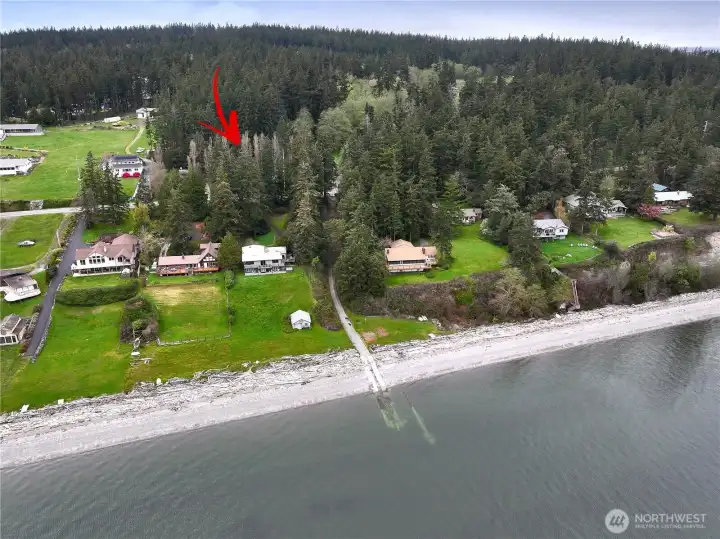Just behind the trees is your peaceful Whidbey cabin.