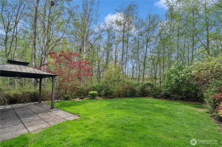 Incredibly private backyard back to the Native Growth Protectin Area