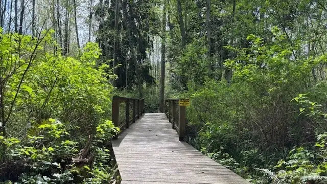 Steps to a nature trail in Native Growth Protection Area