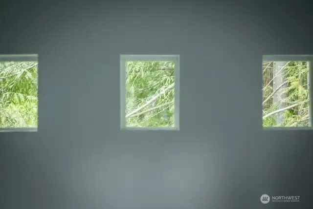 Lots of windows for light