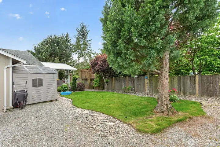 Fenced yard for pets Fenced yard for pets